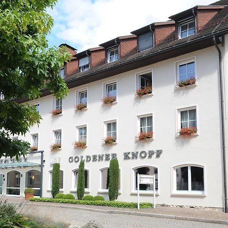 Hotel Goldener Knopf Bad Säckingen Exterior foto